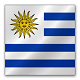 乌拉圭使馆认证样本
